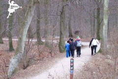 IMG_3091-800