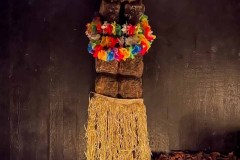 IMG_5254