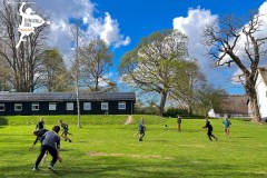 IMG_0940