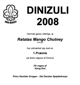 2008_DINIZULI- diplom