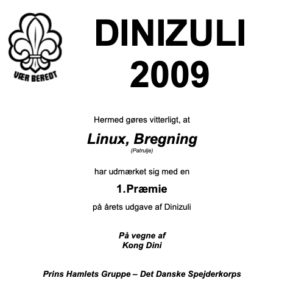 2009_DINIZULI- diplom